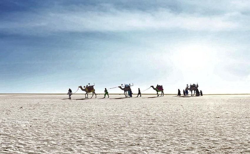 rann desert